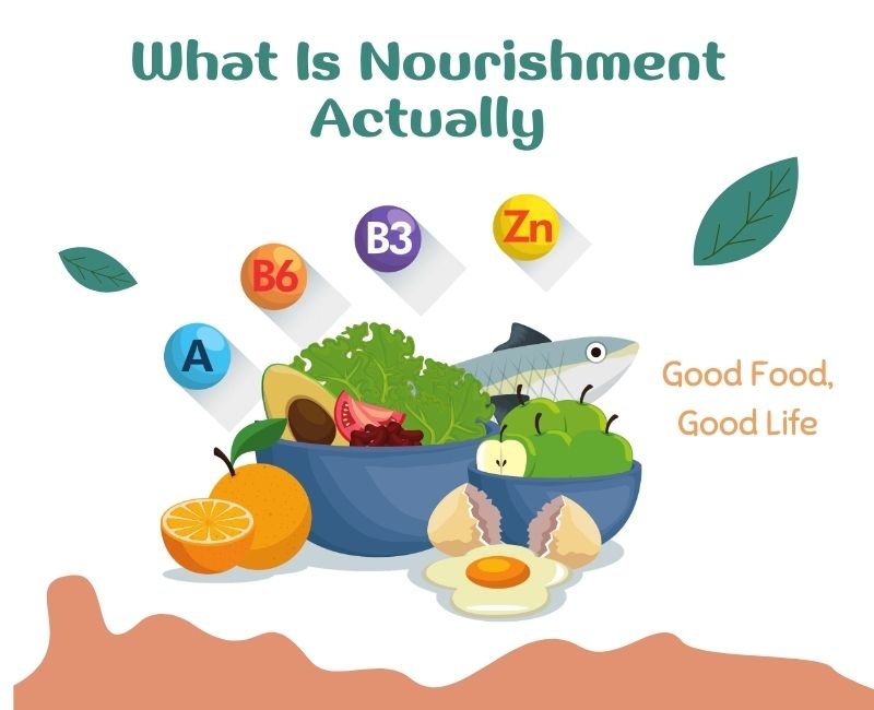 What Is Nourishment Actually