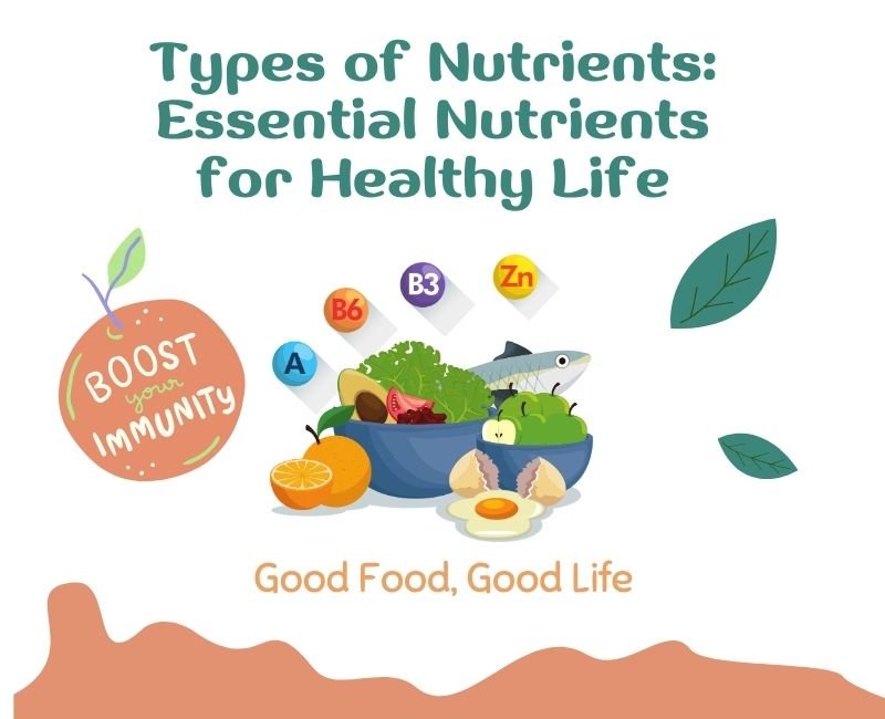 Types of Nutrients: Essential Nutrients for Healthy Life - Post Thumbnail