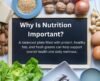 Why Is Nutrition Important? - Post Thumbnail