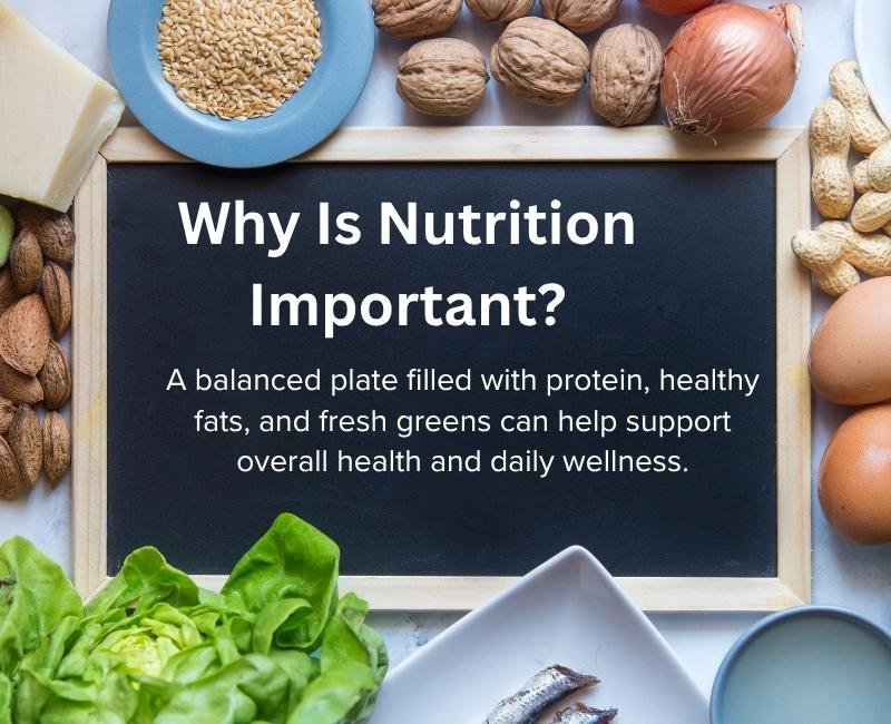 What Are Nutrients and Why They Are Key for the Human Body?